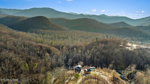 Tiny photo for 814 Davenport Rd, Gatlinburg, TN 37738 (MLS # 1327355)