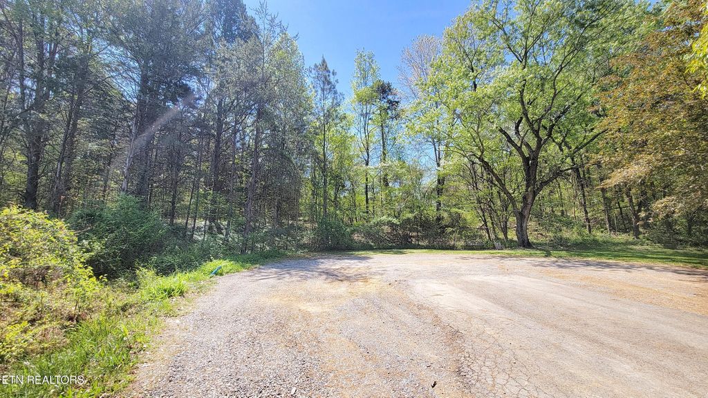 Photo of 144 Wale Drive, Parrottsville, TN 37843 (MLS # 1298205)