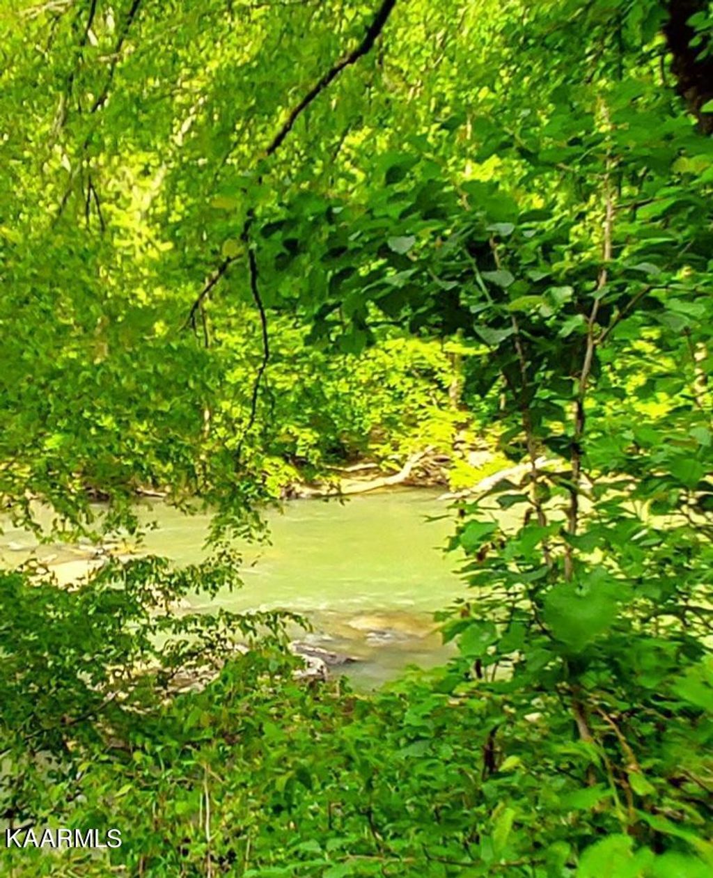 Photo of River Rd, Huntsville, TN 37756 (MLS # 1227956)