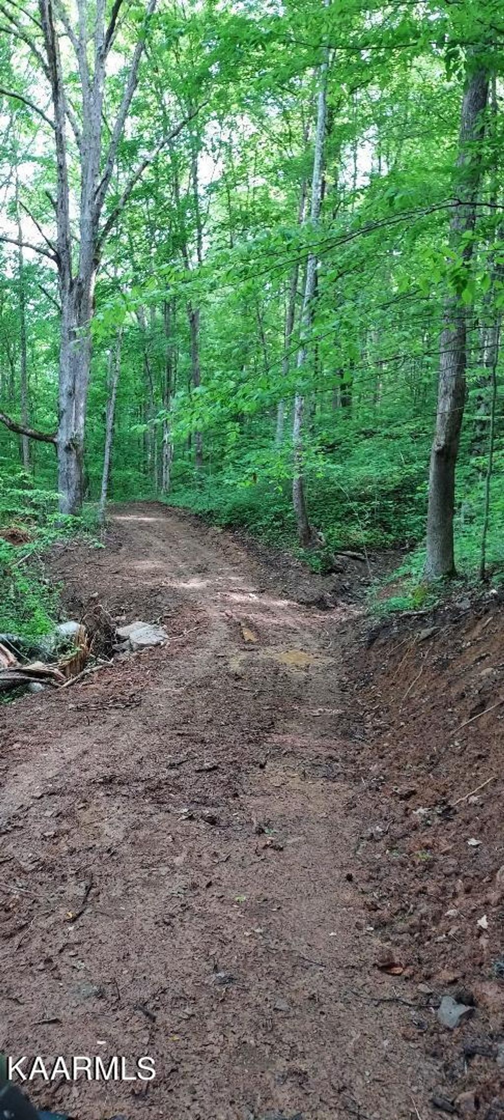 Photo of River Rd, Huntsville, TN 37756 (MLS # 1227956)