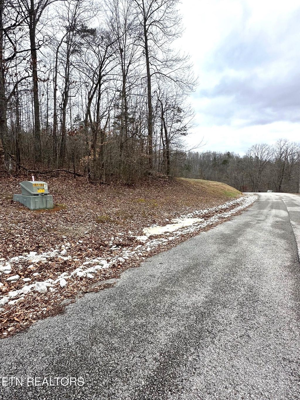 Photo of 182 Hickory Way, LaFollette, TN 37766 (MLS # 1251309)