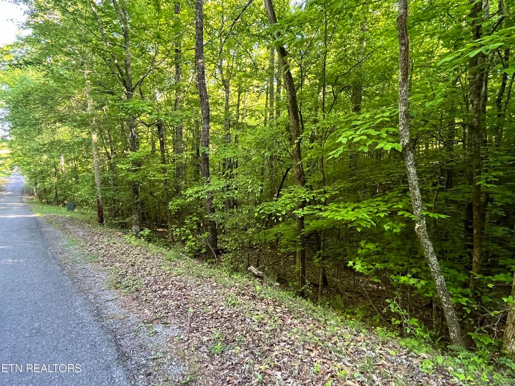 Photo of 373375 Beta Drive, Spring City, TN 37381 (MLS # 1261391)