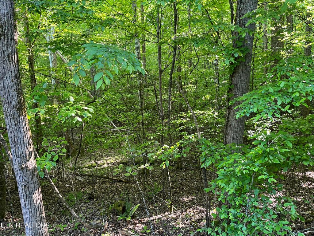 Photo of 373375 Beta Drive, Spring City, TN 37381 (MLS # 1261391)