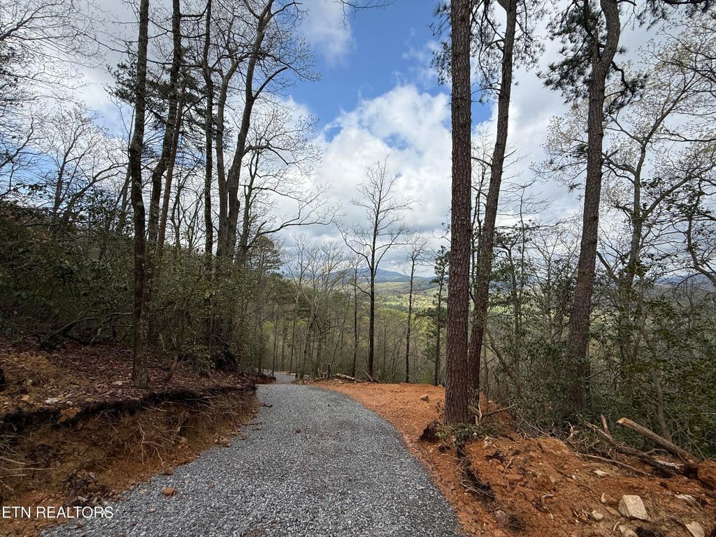 Photo of 393 Green Forest Rd, Cosby, TN 37722 (MLS # 1297485)