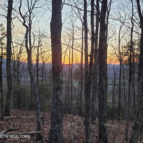 Tiny photo for 393 Green Forest Rd, Cosby, TN 37722 (MLS # 1297485)