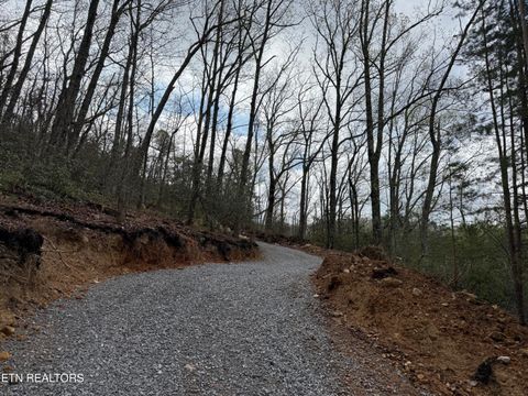 Tiny photo for 393 Green Forest Rd, Cosby, TN 37722 (MLS # 1297485)