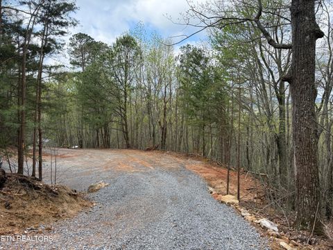 Tiny photo for 393 Green Forest Rd, Cosby, TN 37722 (MLS # 1297485)