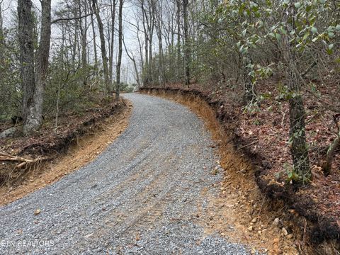 Tiny photo for 393 Green Forest Rd, Cosby, TN 37722 (MLS # 1297485)