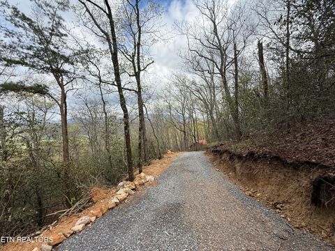 Tiny photo for 393 Green Forest Rd, Cosby, TN 37722 (MLS # 1297485)
