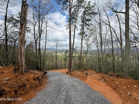 Tiny photo for 393 Green Forest Rd, Cosby, TN 37722 (MLS # 1297485)