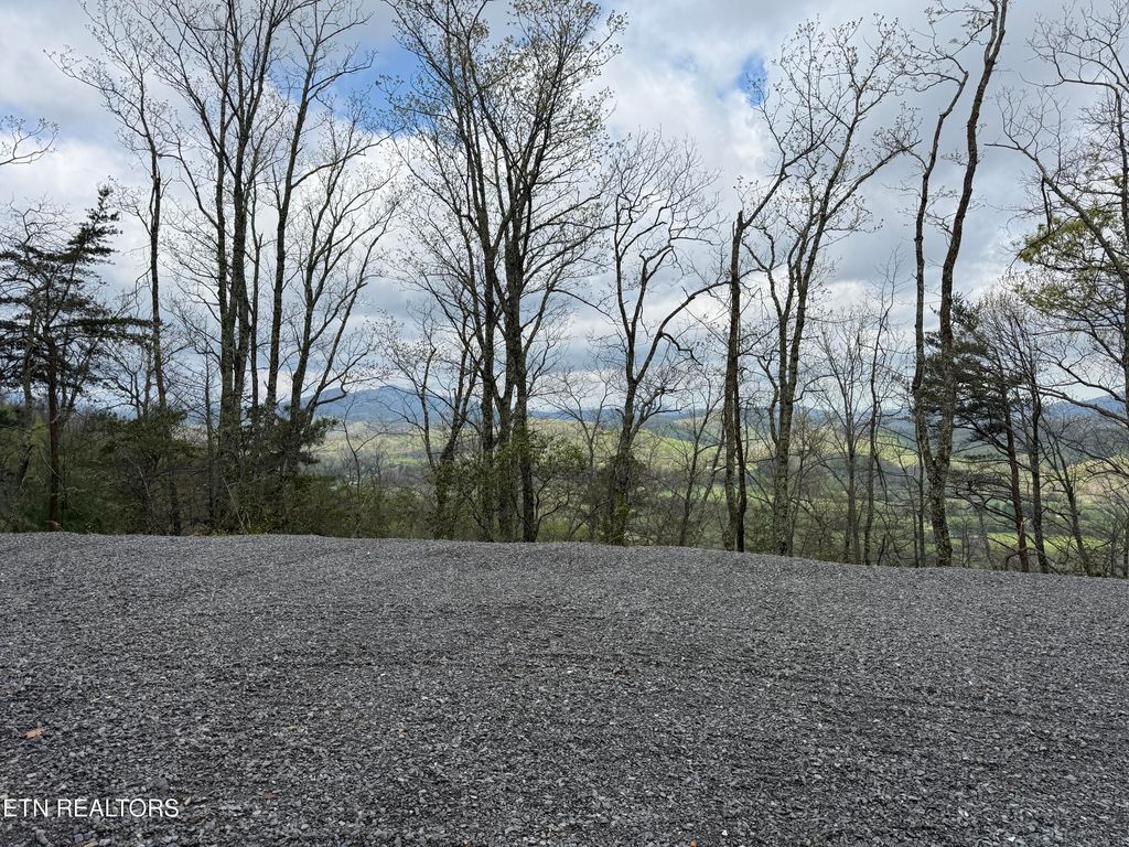Photo of 393 Green Forest Rd, Cosby, TN 37722 (MLS # 1297485)