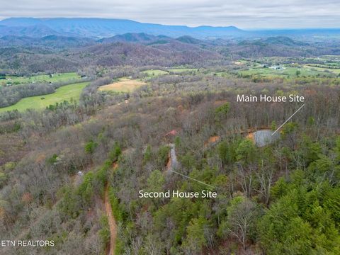 Tiny photo for 393 Green Forest Rd, Cosby, TN 37722 (MLS # 1297485)