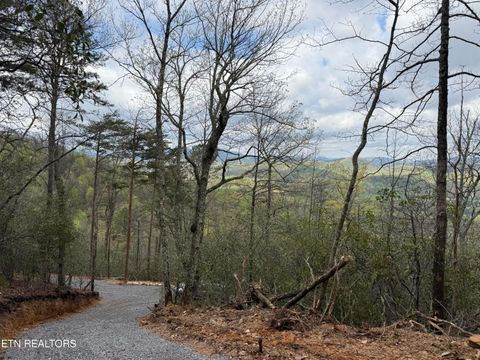 Tiny photo for 393 Green Forest Rd, Cosby, TN 37722 (MLS # 1297485)
