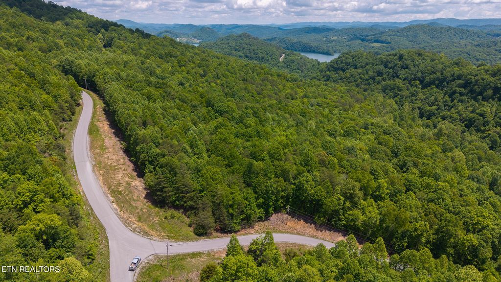 Photo of 161 Whistle Valley Rd, New Tazewell, TN 37825 (MLS # 1300467)