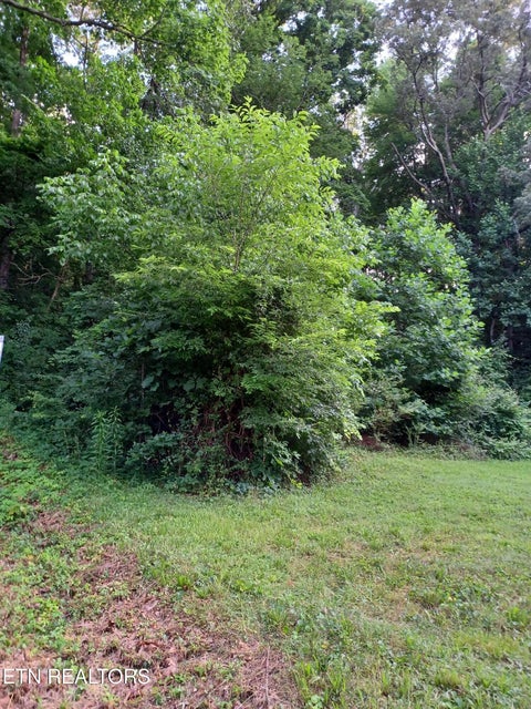Tiny photo for 2732 Willocks Ave, Maryville, TN 37804 (MLS # 1304188)