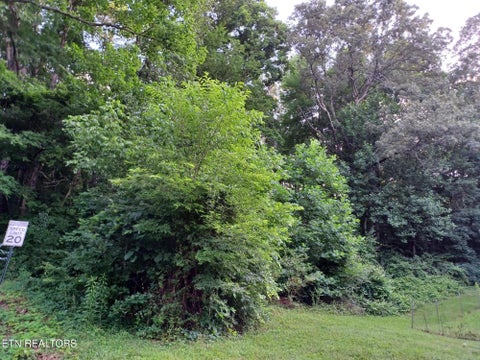 Tiny photo for 2732 Willocks Ave, Maryville, TN 37804 (MLS # 1304188)
