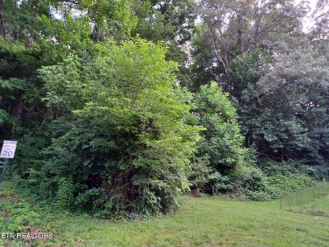 Tiny photo for 2732 Willocks Ave, Maryville, TN 37804 (MLS # 1304188)