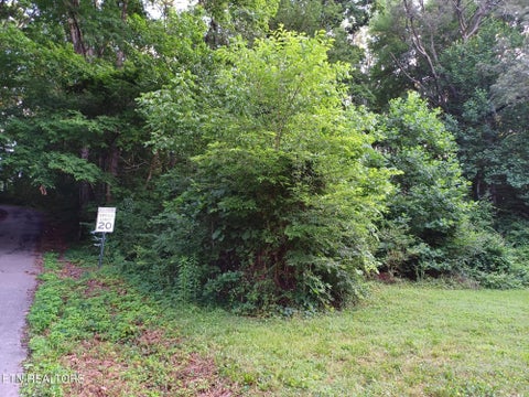Tiny photo for 2732 Willocks Ave, Maryville, TN 37804 (MLS # 1304188)