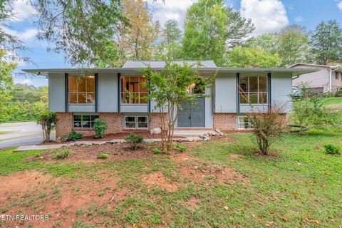 Photo of 101 Newport Drive, Oak Ridge, TN 37830 (MLS # 1316820)