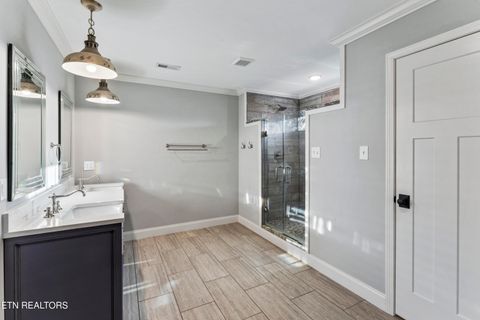 Tiny photo for 606 Eagle Bend Rd, Clinton, TN 37716 (MLS # 1327850)