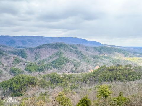 Tiny photo for 3454 Carsons Ridge Way, Sevierville, TN 37876 (MLS # 1330321)
