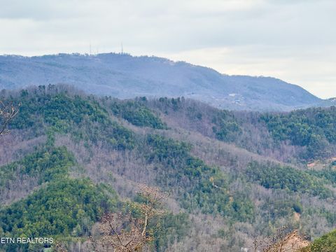 Tiny photo for 3454 Carsons Ridge Way, Sevierville, TN 37876 (MLS # 1330321)