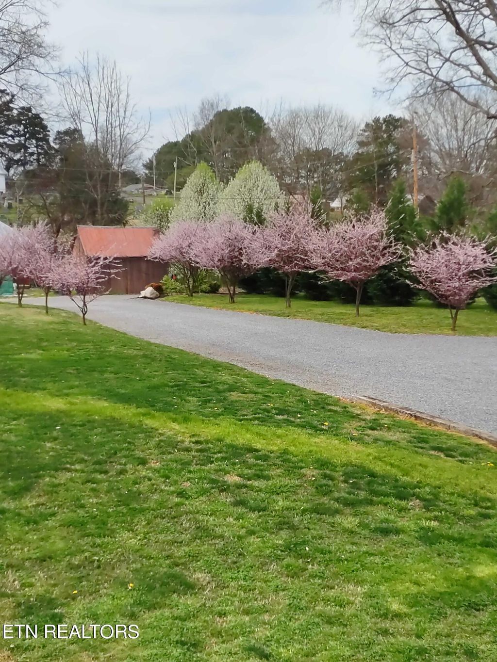 Photo of 1510 Moyers St, White Pine, TN 37890 (MLS # 1253675)