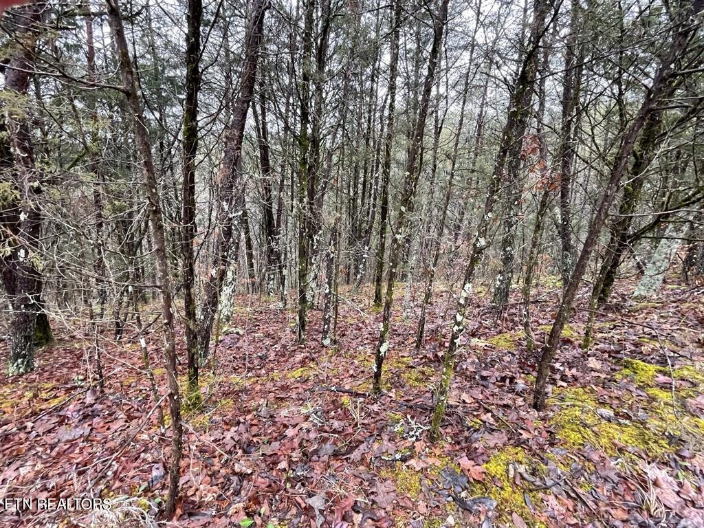 Coveside -38 acres Way