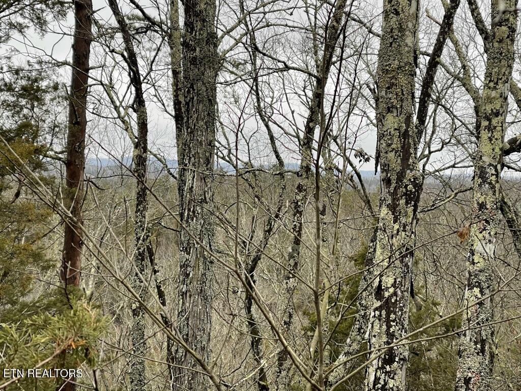 Coveside -38 acres Way