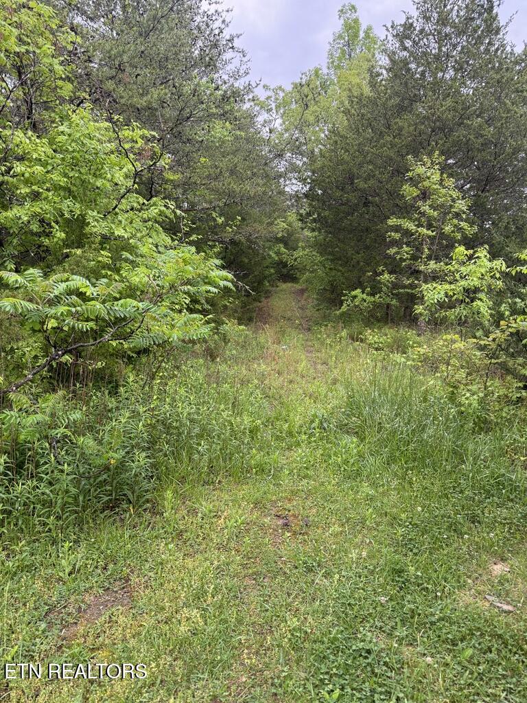 Coveside -38 acres Way