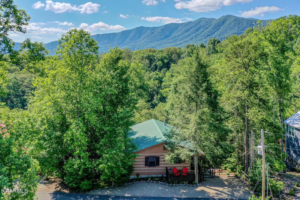 Photo of 192 Cold Springs Trace, Townsend, TN 37882 (MLS # 1219809)