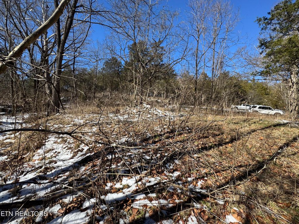 Photo of TN-131, Treadway, TN 37881 (MLS # 1330122)