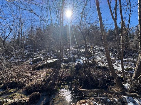 Tiny photo for TN-131, Treadway, TN 37881 (MLS # 1330122)