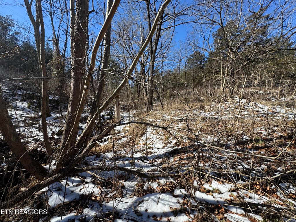 Photo of TN-131, Treadway, TN 37881 (MLS # 1330122)