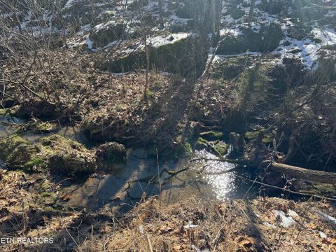 Tiny photo for TN-131, Treadway, TN 37881 (MLS # 1330122)