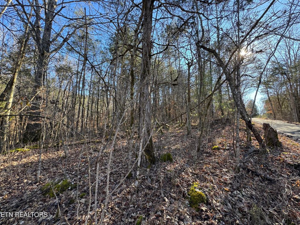 Photo of TN-131, Treadway, TN 37881 (MLS # 1330122)
