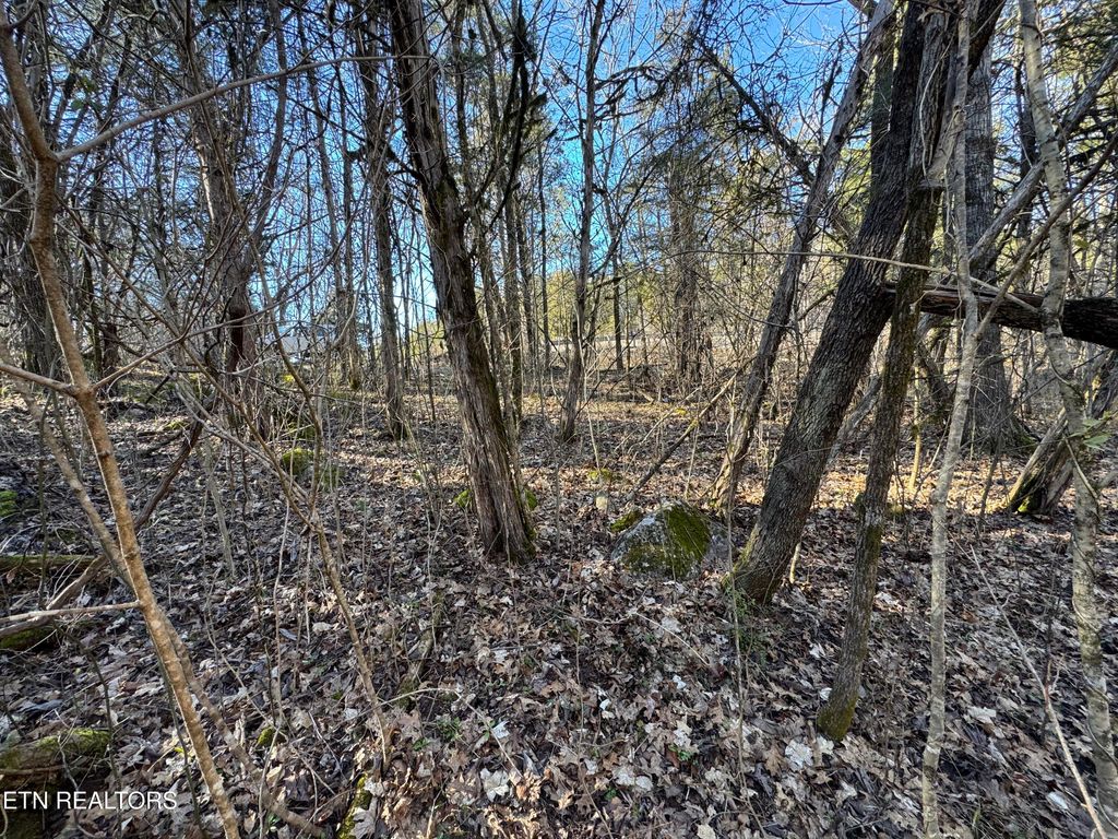 Photo of TN-131, Treadway, TN 37881 (MLS # 1330122)