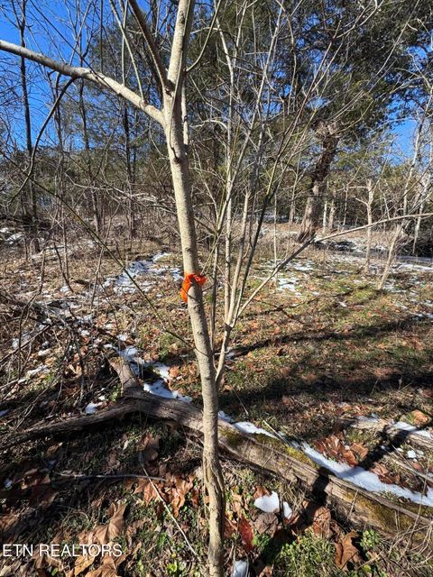 Tiny photo for TN-131, Treadway, TN 37881 (MLS # 1330122)