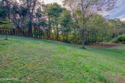 Tiny photo for 1733 Oakdale Drive, Dandridge, TN 37725 (MLS # 1359812)