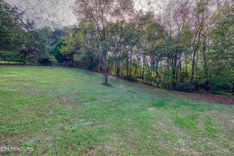 Tiny photo for 1733 Oakdale Drive, Dandridge, TN 37725 (MLS # 1359812)