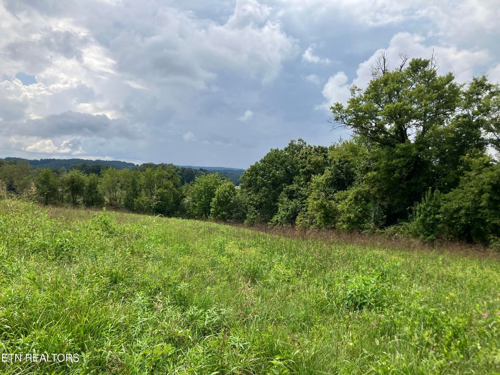 Photo of 6 Grandview Lane, New Tazewell, TN 37825 (MLS # 1313113)