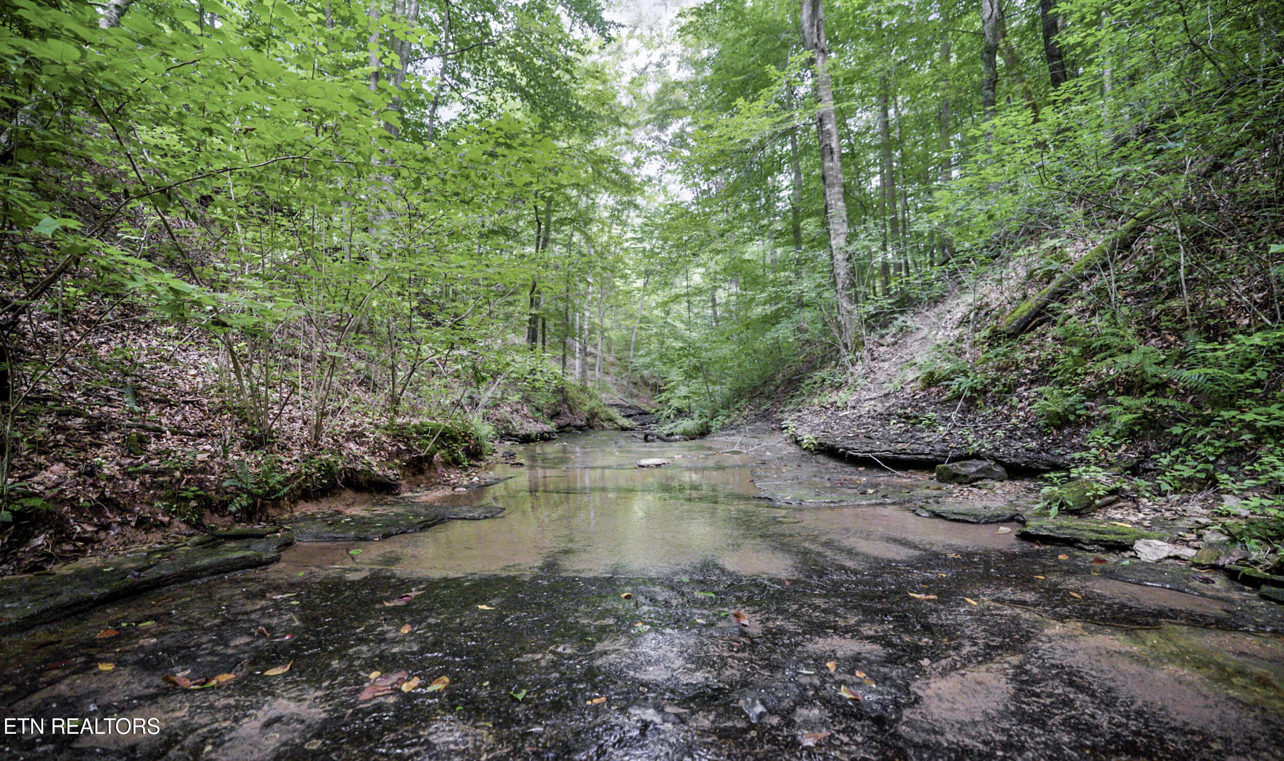 1005 Birdwell Rd