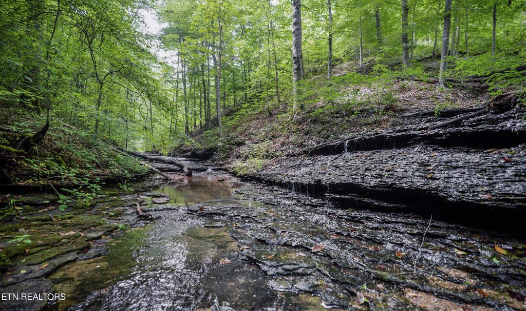 Photo of 1005 Birdwell Rd, Whitleyville, TN 38588 (MLS # 1308983)