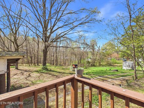 Tiny photo for 299 Moss Boat Dock Lane, Decatur, TN 37322 (MLS # 1334165)