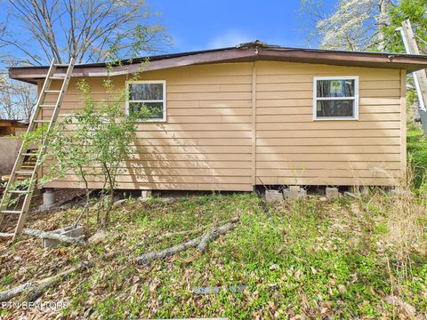 Tiny photo for 299 Moss Boat Dock Lane, Decatur, TN 37322 (MLS # 1334165)