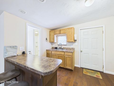 Tiny photo for 299 Moss Boat Dock Lane, Decatur, TN 37322 (MLS # 1334165)