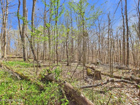 Tiny photo for 299 Moss Boat Dock Lane, Decatur, TN 37322 (MLS # 1334165)