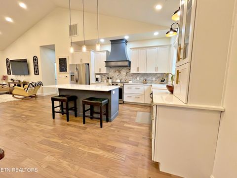 Tiny photo for 715 Half Moon Shores Drive, Ten Mile, TN 37880 (MLS # 1324920)