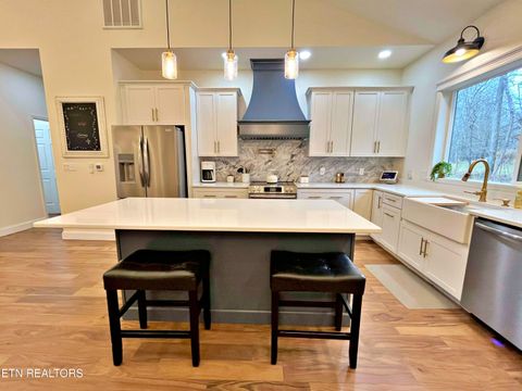 Tiny photo for 715 Half Moon Shores Drive, Ten Mile, TN 37880 (MLS # 1324920)