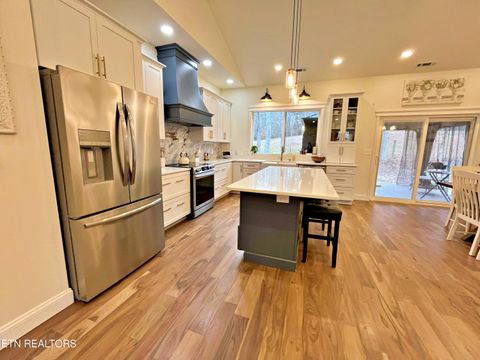 Tiny photo for 715 Half Moon Shores Drive, Ten Mile, TN 37880 (MLS # 1324920)